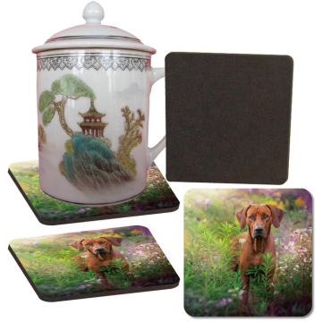 Desain Aninin Hewan Grosir Eva Foam Heat Insulate Coaster