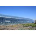 Greenhouses Designs Greenhouse Shed Factory