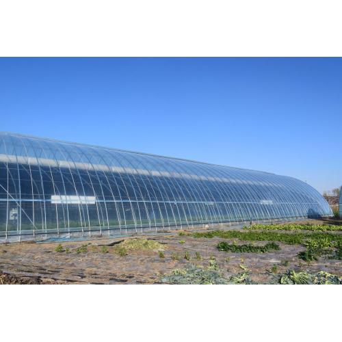 Green Houses Greenhouse Shed Supplier