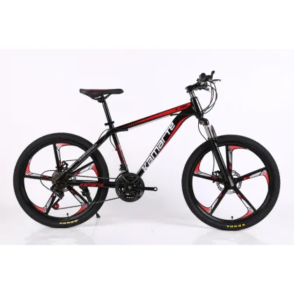 Custom Wheel Set and Carbon Frame for Adult MountainPeak Stricker/Road Bike