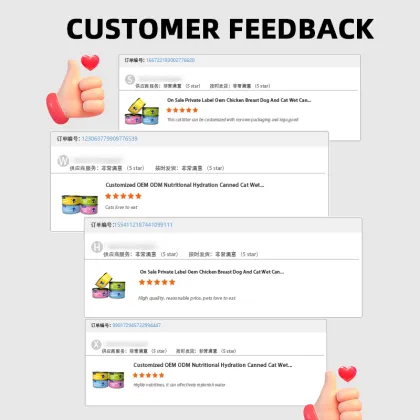 Best Selling Pet Food Factory: Wholesale Cat Wet Food & CAT SNACKS