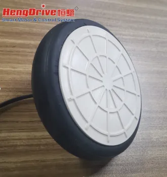 Directly Drive Brushless Hub Motor (DD BLDC)