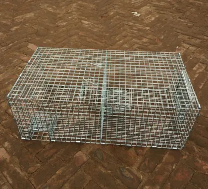 Repeating Sparrow Control Trap Wire Cage