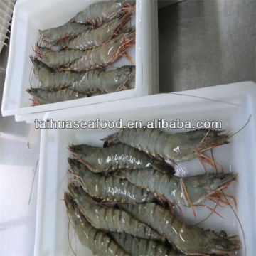 sea shrimp and good sea food