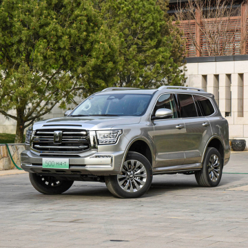 Changcheng Electric Vehicle - Hot Selling Low-Priced New Energy Vehicle in China 2024