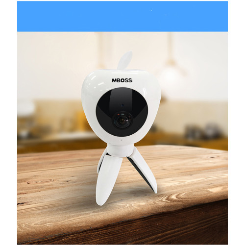 Cute Design 1080P Motion Sensor Wifi IP Camera