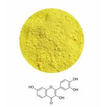 Smoke Tree Extract Fisetin 99%