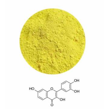 Smoke Tree Extract Fisetin 99%