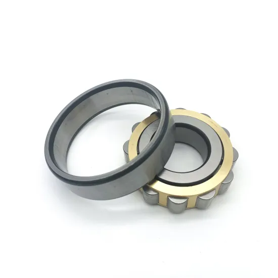 Super Precision Cylindrical Roller Bearing NN3022MBKRCC1P4 - Good Quality Competitive Price