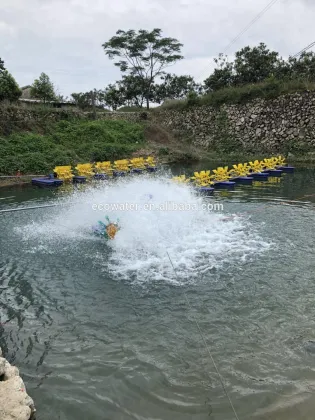 China-Produced Paddle Wheel Fish Pond Aerators and Micro Air Bubble Aerator for Aquaculture, Particularly Shrimp Farm Applications
