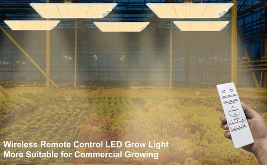 LED Grow Lights with Intelligent Wireless Control