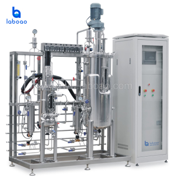 Laboao Versatile Fermentation Solutions: Stainless Steel Bioreactors 10L to 200L