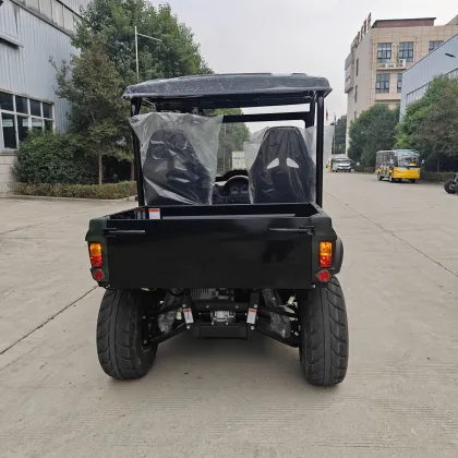Customization Electric UTVs: Dual Motor Side-by-Side for Adults