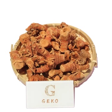 GEKO Food Bulk Wholesales: Export Turmeric for Aromatherapy and Spices