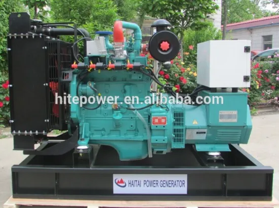Philippines wood chips biomass gasifier