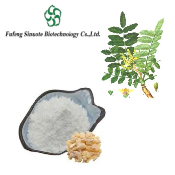 Premium Boswellia Serrata Extract for Joint Health and Wellness