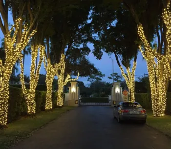 10m 100LED Warm White IP65 Waterproof LED Strip for Christmas Tree and Outdoor Festivals