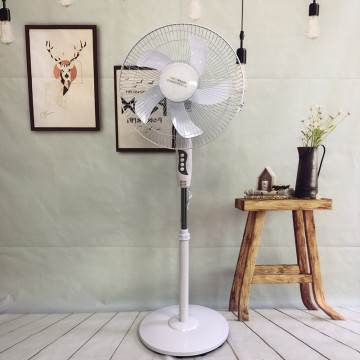 Customizable OEM Electric Floor Standing Fans: 18 Inch Plastic Models with Remote Control and 16 Inch Options