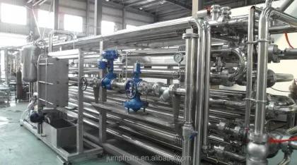 Papaya processing machine make papaya juice