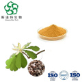 Biond Magnolia Flower Extract Powder with Free Sample
