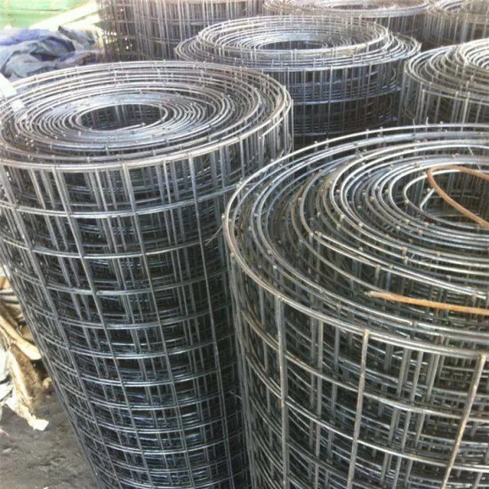2"x2" Aperture Welded wire mesh roll
