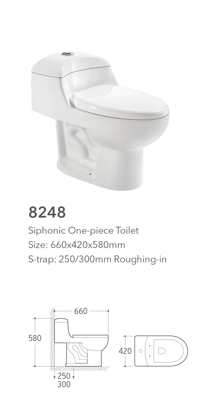 8248 One Piece Toilet