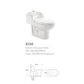 One Piece Toilet Porcelain/ceramic Washdown Parts