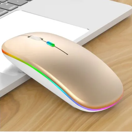 Portable Wireless Ergonomic RGB Backlit Mute Gaming Mouse
