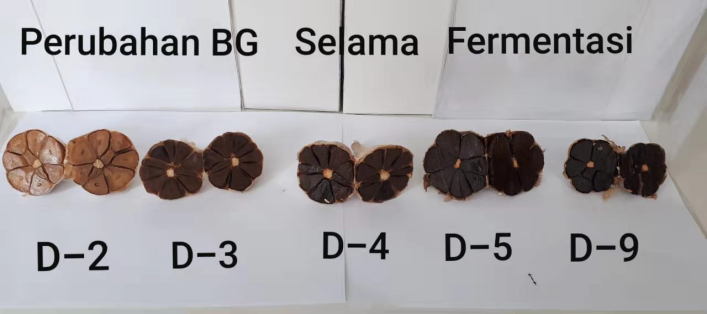 black garlic