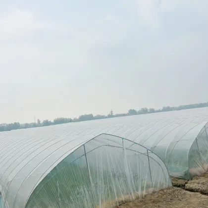 7-layer PE greenhouse Diffused film