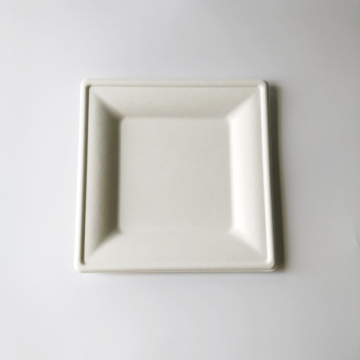 10 inch bagasse plate 260x260mm