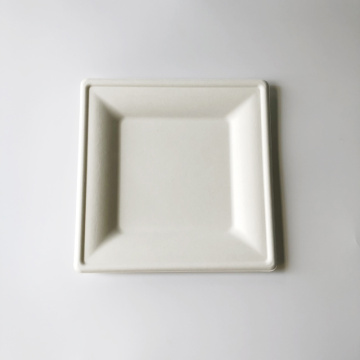 Plaque de bagasse de 10 pouces 260x260 mm