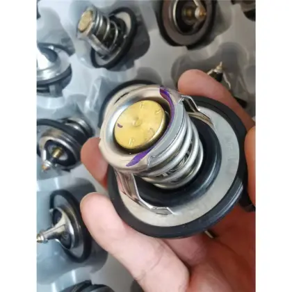 Good Quality Smart Temperature Controller Thermostat 255002B000