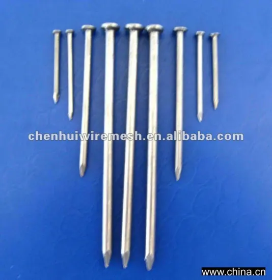 Common Steel Nails