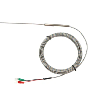 1000Deg.C Fine B/R/S/J/T/S/K Type Capillary Flexible Armored Thermocouple Probe Sensor