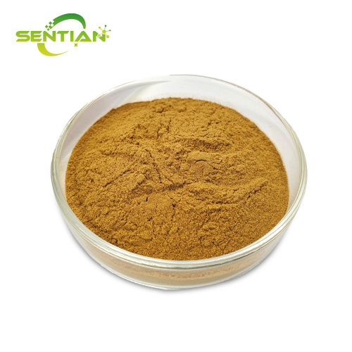 Premium Pure Silymarin Extract