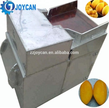 Automatic Mango Cutting and Peeling Machine
