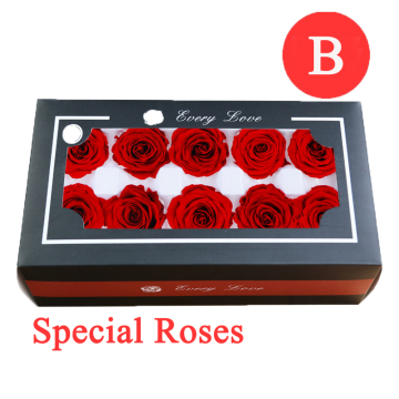 4cm B Grade Preserved Roses & Long-Lasting Plants