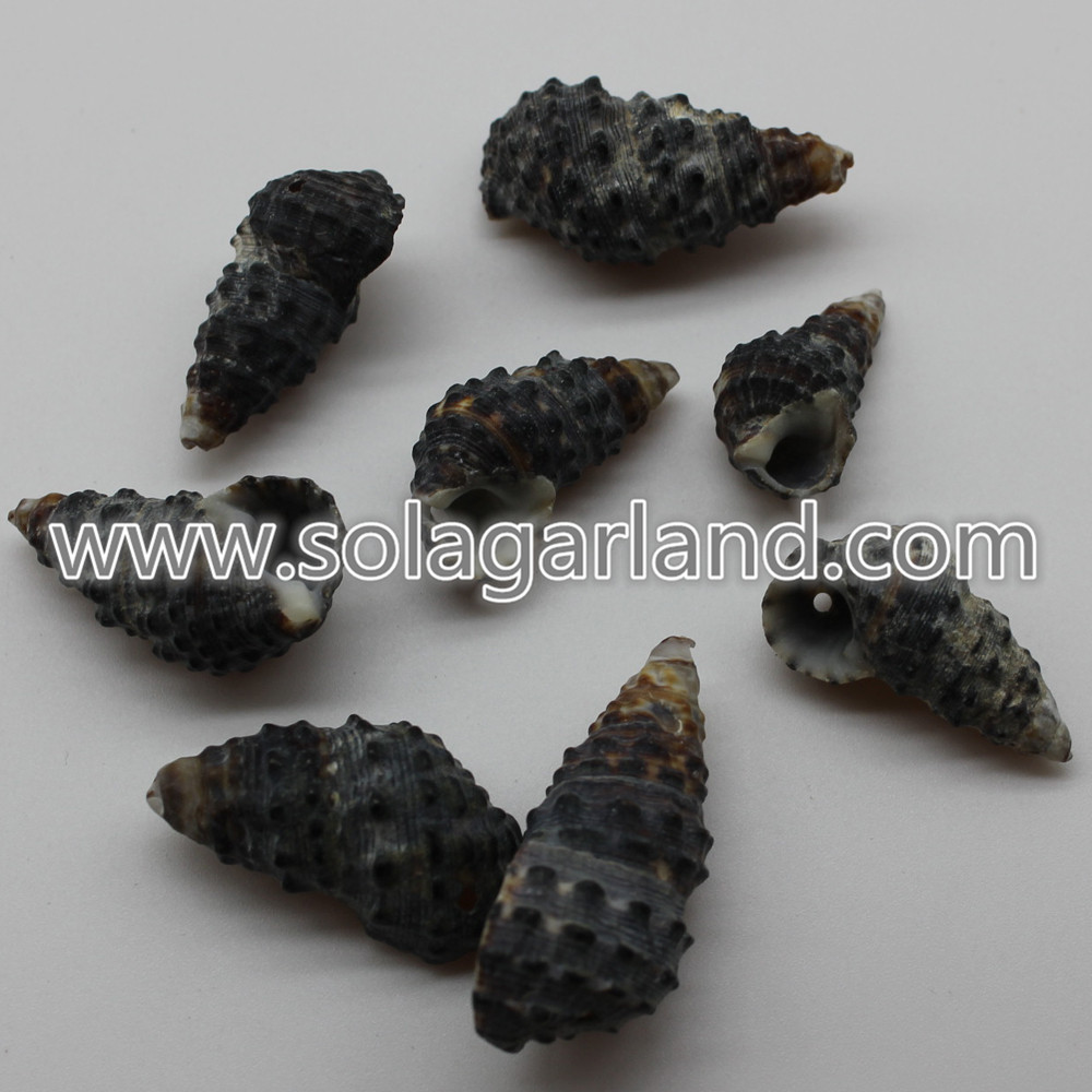 drilled hole Shell Beads
