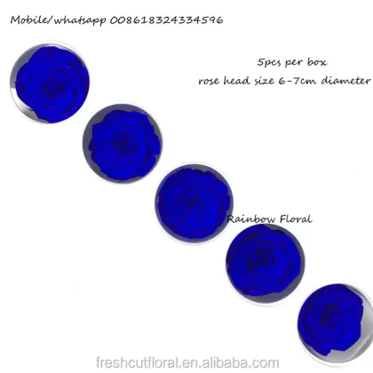 Kunming Wholesale Stabilized Flowers & Preserved Roses