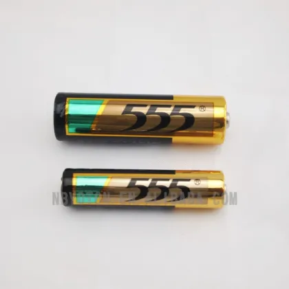 555 Alkaline battery AA AAA