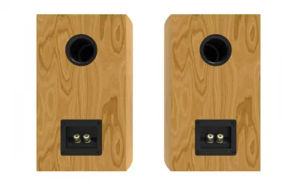 Hifi speaker wooden passive Bookshelf Speaker