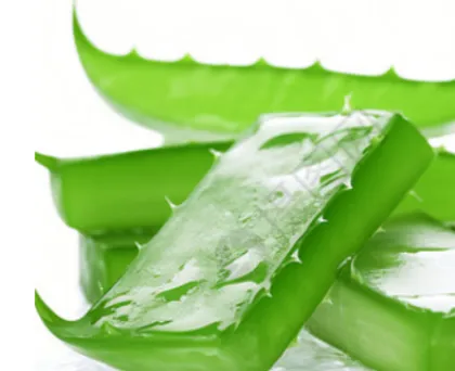 Aloe Vera Extract Powder 20%