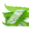 Aloe Vera Extract Powder 20%