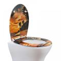 Duroplast Toilet Seat Soft Close (nightfall)
