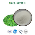 Plant Extract Artemisinin Powder