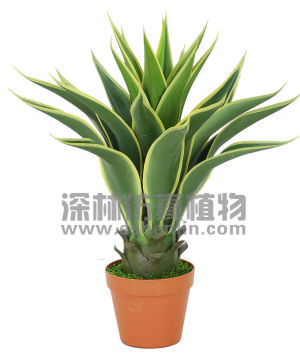 Newest Hotsell artificial plant Mini Agave Americana