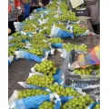 Fresh Grapes Shine Muscat Sweet and Juicy