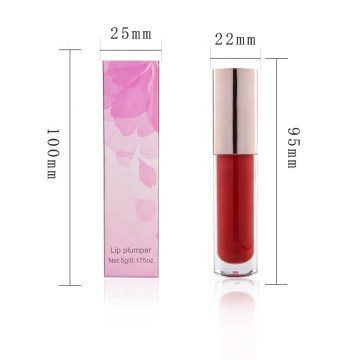 Natural Vegan Lip Gloss with Plumping Effect