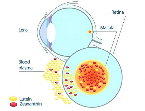 Eye Care(1)